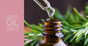 What are the Benefits of Using Rosemary Oil for Skin?