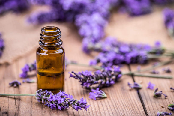 lavender oil