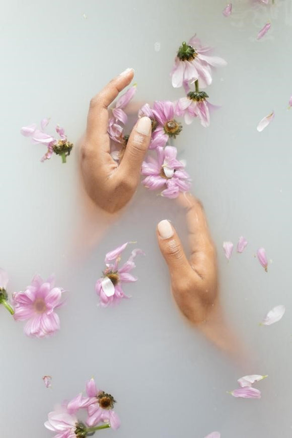 hands and lavender flowers